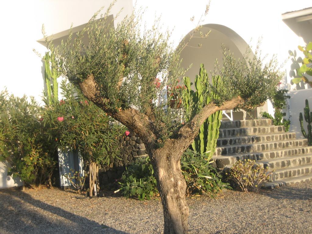 Sun Anemos Resort Oia  Ngoại thất bức ảnh