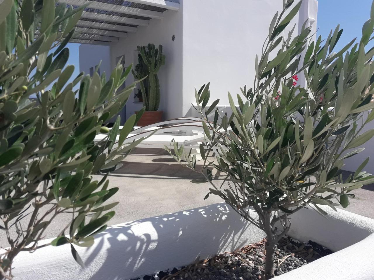 Sun Anemos Resort Oia  Ngoại thất bức ảnh